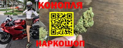 кокс Кингисепп