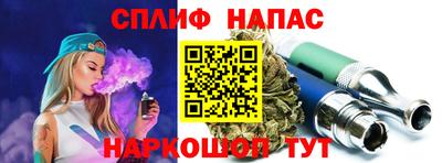кокс Кингисепп
