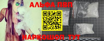 кокс Кингисепп