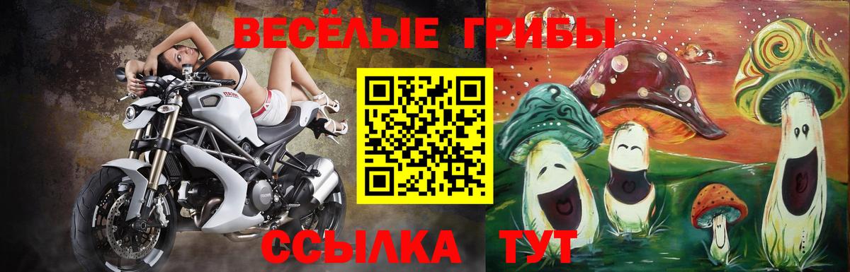 Галлюциногенные грибы Psilocybine cubensis  где найти   Галлюциногенные грибы MAGIC MUSHROOMS  Кувандык  Вход с VPN 